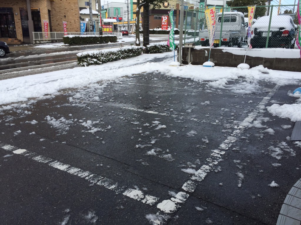 愛知県三河大雪